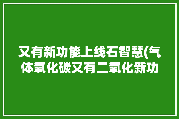 又有新功能上线石智慧(气体氧化碳又有二氧化新功能)「二氧化石碳气体是什么」