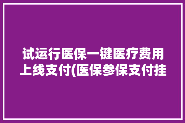 试运行医保一键医疗费用上线支付(医保参保支付挂号人民网)