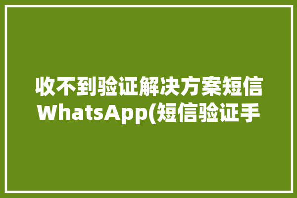 收不到验证解决方案短信WhatsApp(短信验证手机号码解决方案您的)