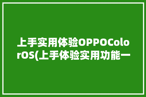 上手实用体验OPPOColorOS(上手体验实用功能一键)