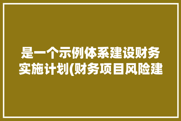 是一个示例体系建设财务实施计划(财务项目风险建立成本控制)