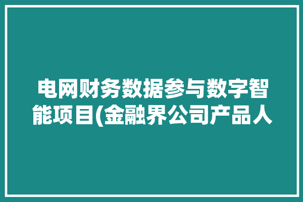 电网财务数据参与数字智能项目(金融界公司产品人工智能能源)「国家电网财务数据」