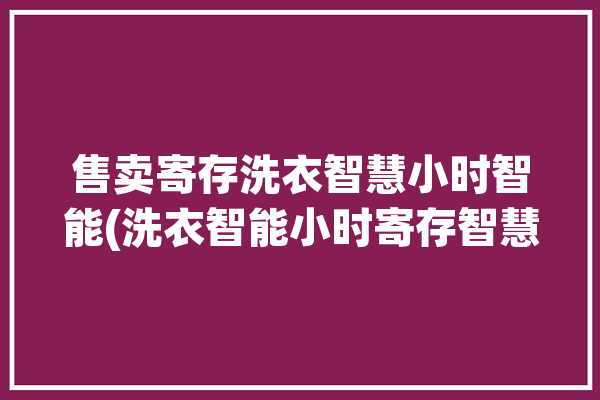 售卖寄存洗衣智慧小时智能(洗衣智能小时寄存智慧)「洗衣店智能存取柜」