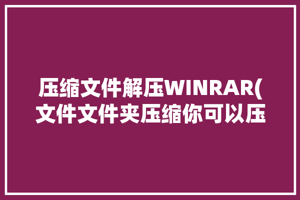 压缩文件解压WINRAR(文件文件夹压缩你可以压缩文件)「文件压缩包解压」