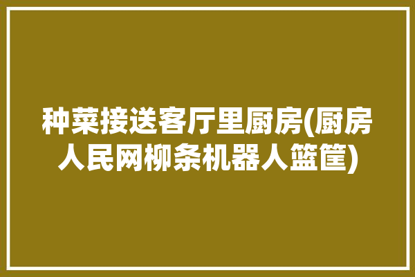 种菜接送客厅里厨房(厨房人民网柳条机器人篮筐)