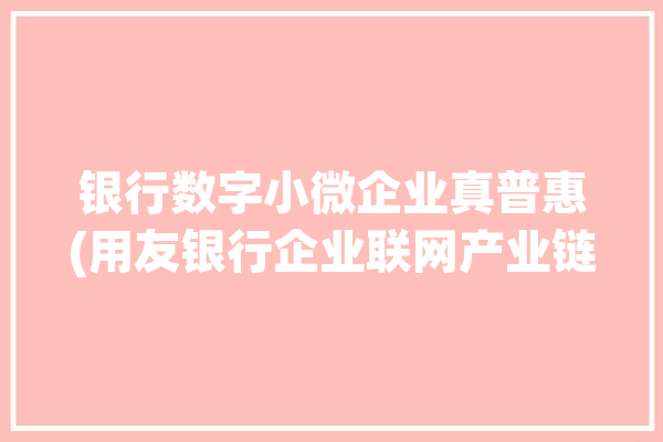 银行数字小微企业真普惠(用友银行企业联网产业链)