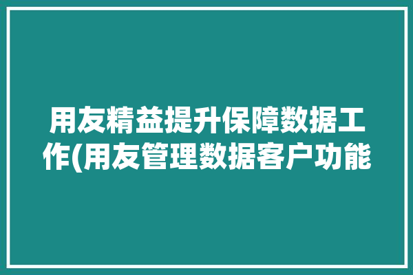 用友精益提升保障数据工作(用友管理数据客户功能)「用友数据精度」