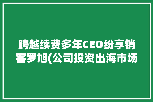 跨越续费多年CEO纷享销客罗旭(公司投资出海市场融资)「罗旭 纷享销客」