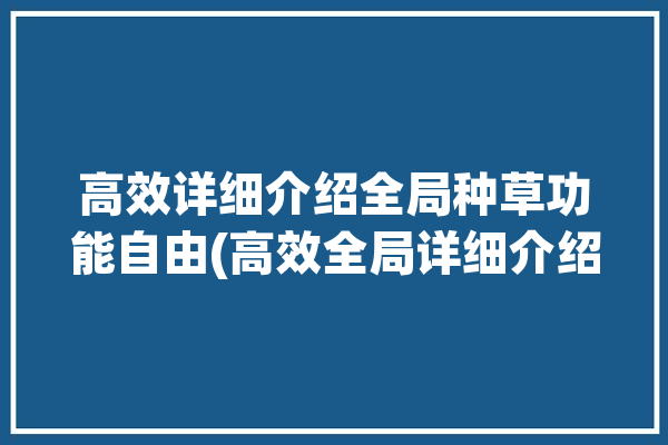 高效详细介绍全局种草功能自由(高效全局详细介绍功能自由)