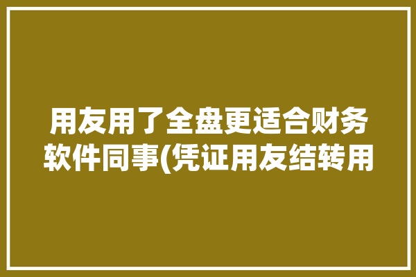 用友用了全盘更适合财务软件同事(凭证用友结转用了全盘)