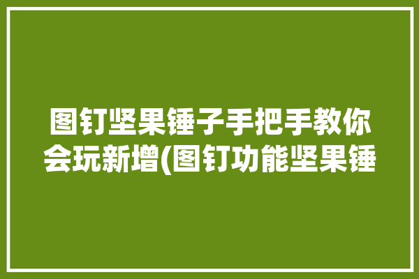 图钉坚果锤子手把手教你会玩新增(图钉功能坚果锤子系统)「坚果图钉怎么用」