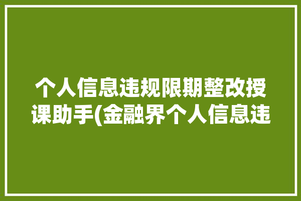 个人信息违规限期整改授课助手(金融界个人信息违规电子科技整改)