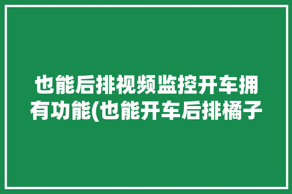 也能后排视频监控开车拥有功能(也能开车后排橘子显示屏)「车内后排监控」