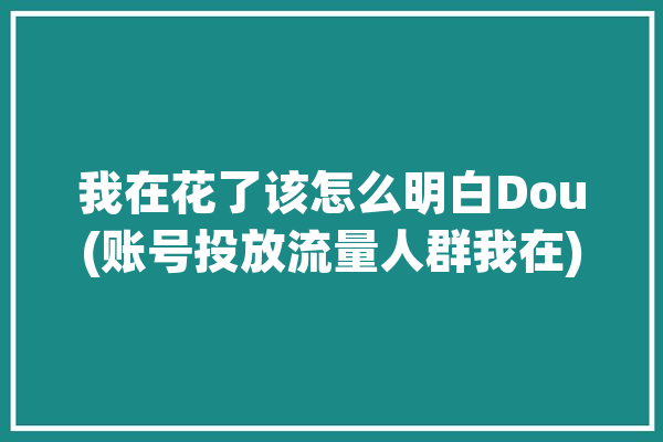 我在花了该怎么明白Dou(账号投放流量人群我在)