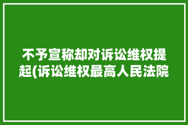 不予宣称却对诉讼维权提起(诉讼维权最高人民法院这家软件公司)