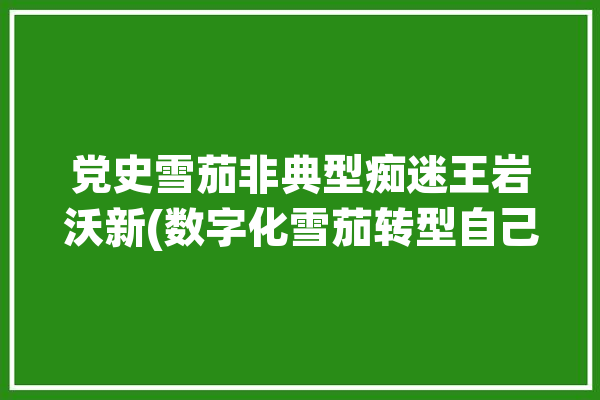 党史雪茄非典型痴迷王岩沃新(数字化雪茄转型自己的的人)「王岩实拍」