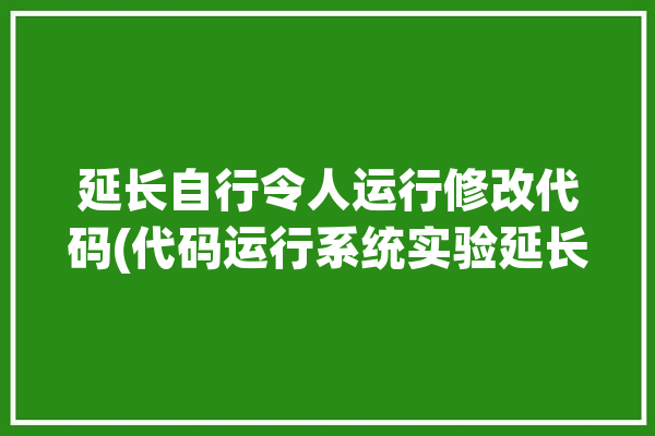 延长自行令人运行修改代码(代码运行系统实验延长)