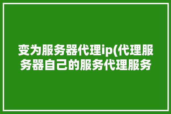 变为服务器代理ip(代理服务器自己的服务代理服务)「代理服务器改回来」