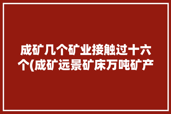 成矿几个矿业接触过十六个(成矿远景矿床万吨矿产地)「成矿远景区」