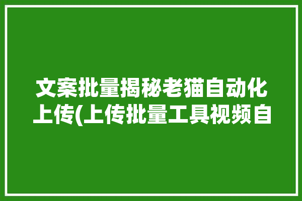 文案批量揭秘老猫自动化上传(上传批量工具视频自动化)