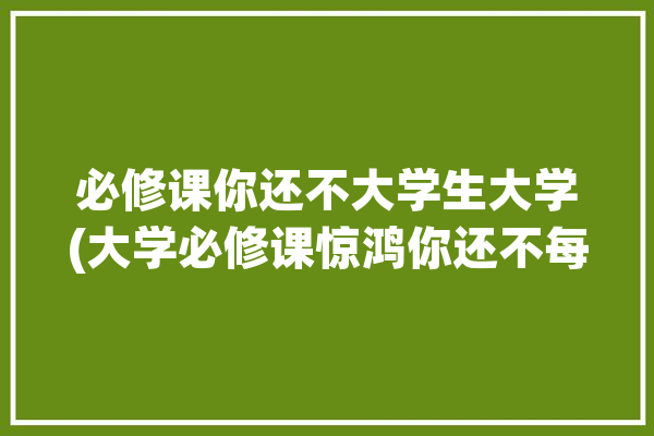 必修课你还不大学生大学(大学必修课惊鸿你还不每个人)