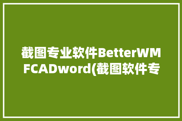 截图专业软件BetterWMFCADword(截图软件专业小米图形)「小米截图工具」