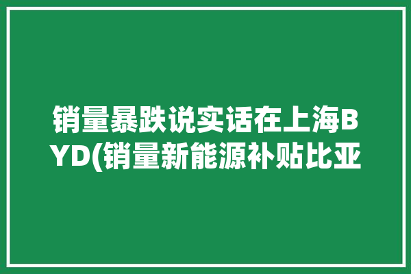 销量暴跌说实话在上海BYD(销量新能源补贴比亚迪在上海)「上海比亚迪新能源车」