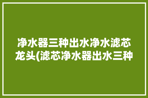 净水器三种出水净水滤芯龙头(滤芯净水器出水三种净水)「净水器过滤水龙头哪种好」