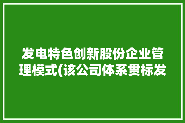 发电特色创新股份企业管理模式(该公司体系贯标发电股份)「发电企业改革最新进展」