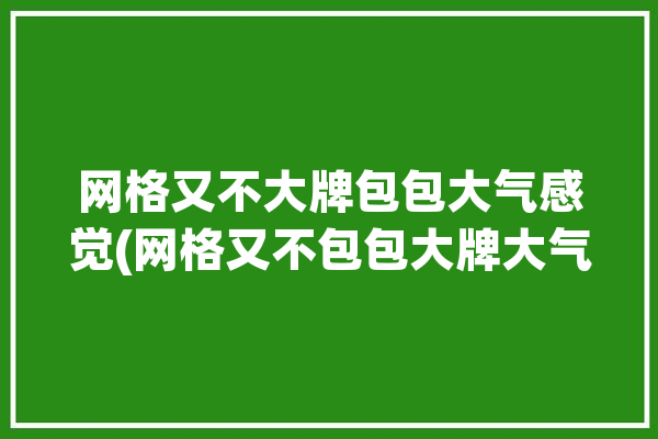 网格又不大牌包包大气感觉(网格又不包包大牌大气)「网格的包包什么牌子」