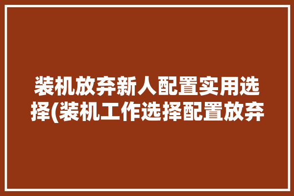 装机放弃新人配置实用选择(装机工作选择配置放弃)「装机配置方案」