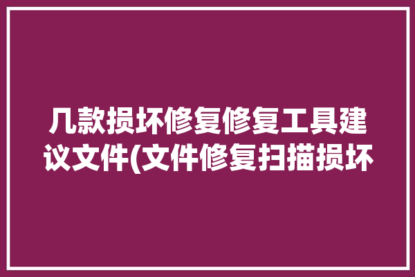 几款损坏修复修复工具建议文件(文件修复扫描损坏系统)「修复损坏的文件」