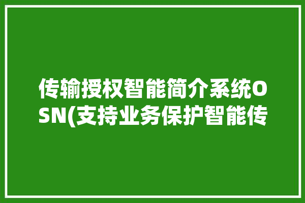 传输授权智能简介系统OSN(支持业务保护智能传输)「智能传输服务」