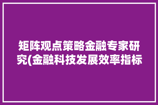 矩阵观点策略金融专家研究(金融科技发展效率指标)「用矩阵分析法分析金融行业」