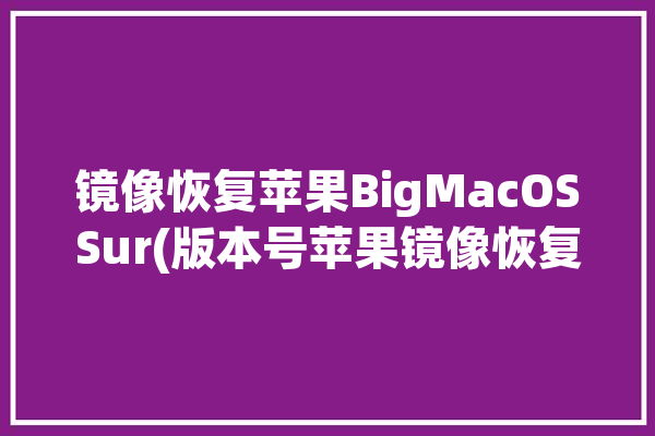 镜像恢复苹果BigMacOSSur(版本号苹果镜像恢复更新)「镜像恢复苹果系统」