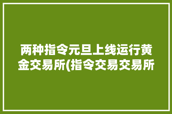 两种指令元旦上线运行黄金交易所(指令交易交易所黄金交易所两种)