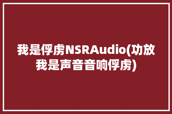 我是俘虏NSRAudio(功放我是声音音响俘虏)「我是俘虏兵剧情介绍」