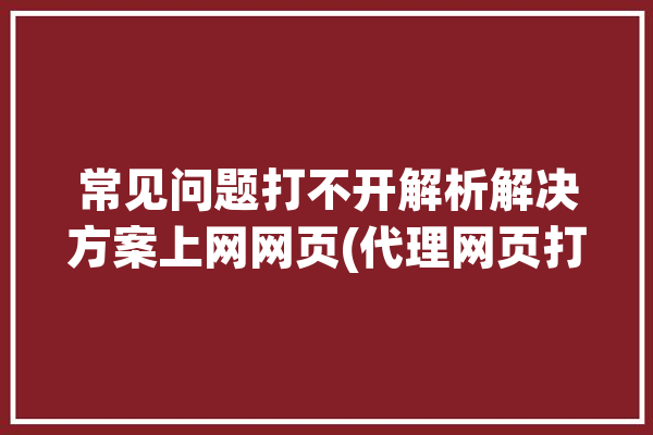 常见问题打不开解析解决方案上网网页(代理网页打不开神龙网络)