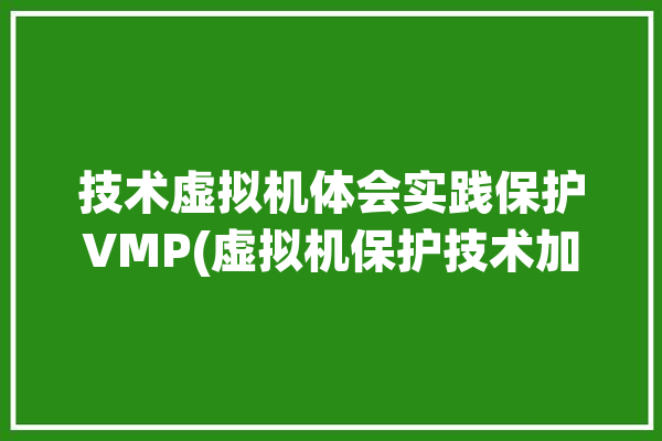 技术虚拟机体会实践保护VMP(虚拟机保护技术加固指令)