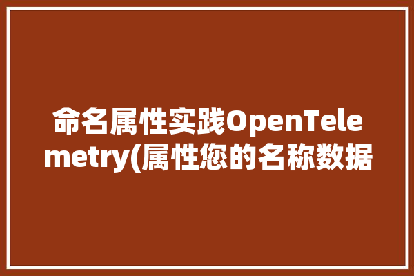 命名属性实践OpenTelemetry(属性您的名称数据命名)「属性命名规则」