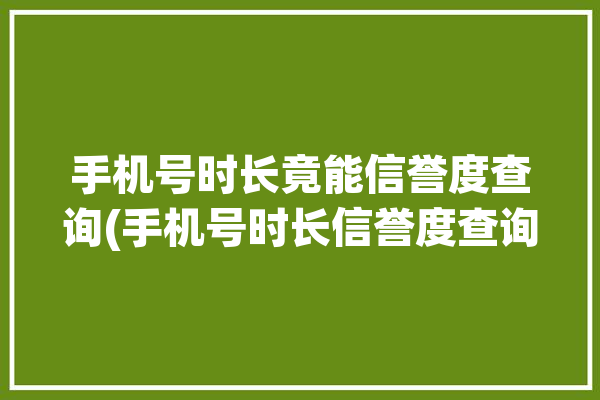 手机号时长竟能信誉度查询(手机号时长信誉度查询竟能)「手机号码时长查询」