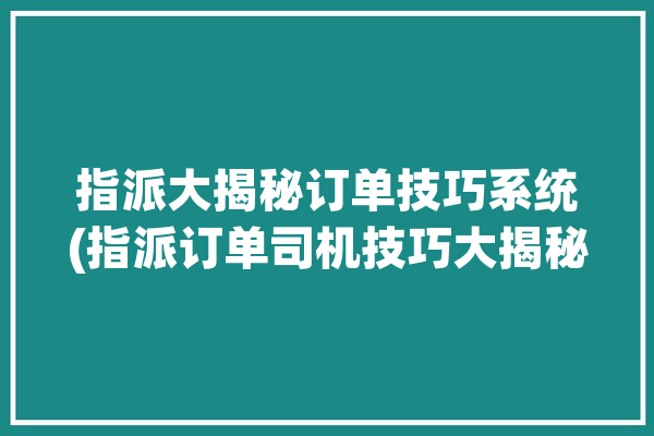 指派大揭秘订单技巧系统(指派订单司机技巧大揭秘)