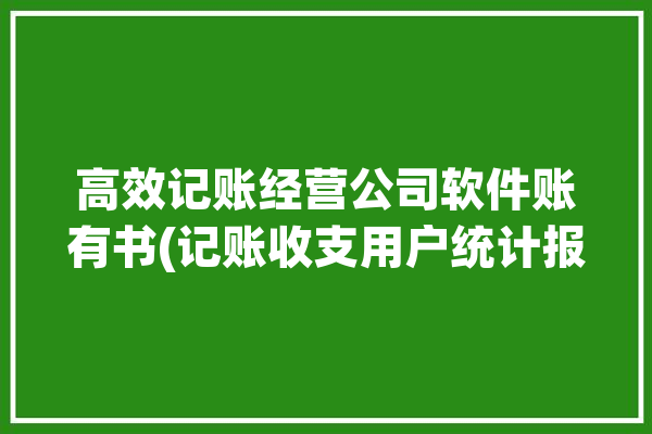 高效记账经营公司软件账有书(记账收支用户统计报表)「记账软件功能介绍」