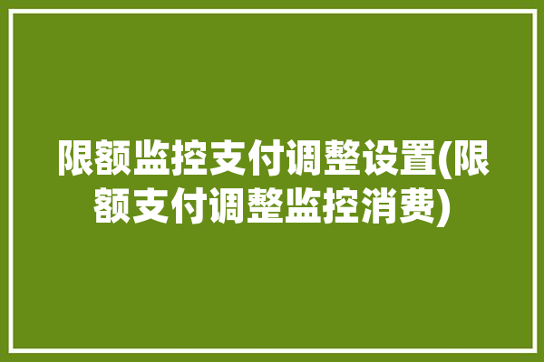 限额监控支付调整设置(限额支付调整监控消费)「监控限速多少合适」