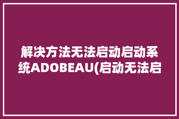 解决方法无法启动启动系统ADOBEAU(启动无法启动解决方法系统运行)