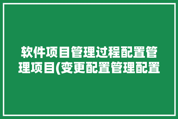 软件项目管理过程配置管理项目(变更配置管理配置过程软件)「软件项目配置管理的基本过程」