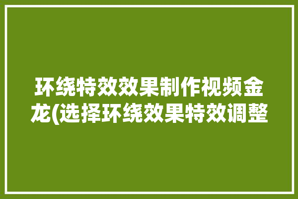 环绕特效效果制作视频金龙(选择环绕效果特效调整)