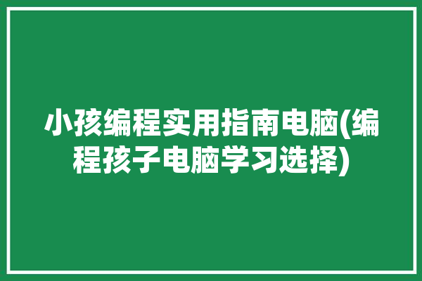 小孩编程实用指南电脑(编程孩子电脑学习选择)「小孩电脑编程入门自学」