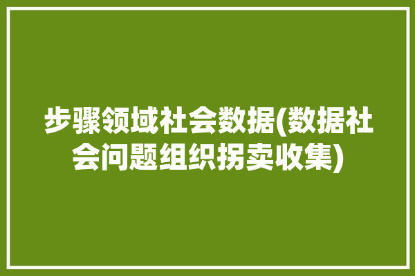 步骤领域社会数据(数据社会问题组织拐卖收集)