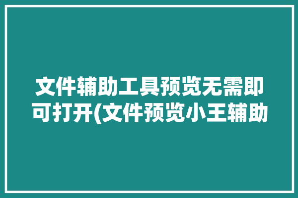 文件辅助工具预览无需即可打开(文件预览小王辅助工具内容)「辅助文档」